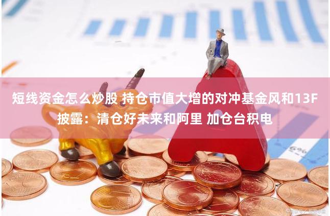 短线资金怎么炒股 持仓市值大增的对冲基金风和13F披露：清仓好未来和阿里 加仓台积电