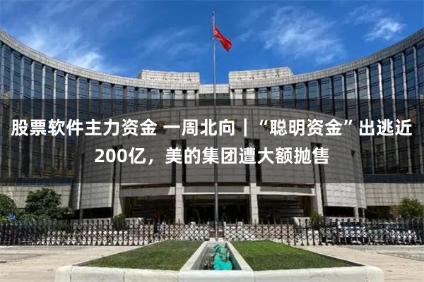 股票软件主力资金 一周北向｜“聪明资金”出逃近200亿，美的集团遭大额抛售