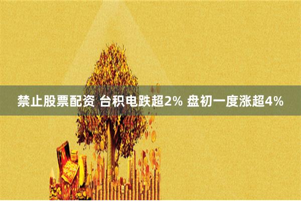 禁止股票配资 台积电跌超2% 盘初一度涨超4%