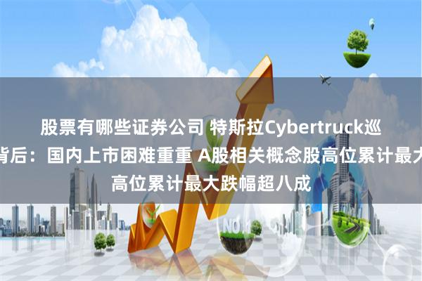 股票有哪些证券公司 特斯拉Cybertruck巡展人气火爆背后：国内上市困难重重 A股相关概念股高位累计最大跌幅超八成